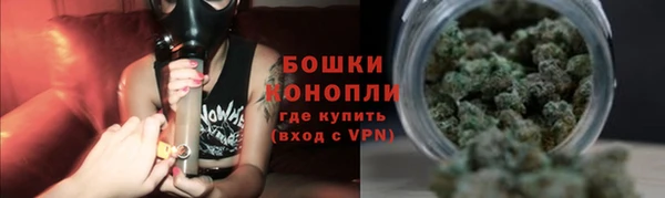 сатива Заволжье