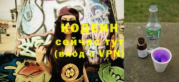молекула духа Бородино