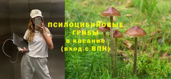 шишки Бронницы