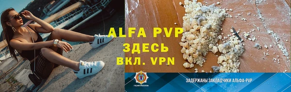 молекула духа Бородино