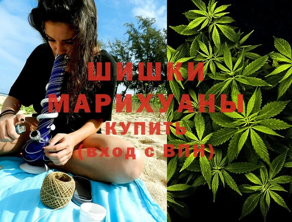 шишки Бронницы