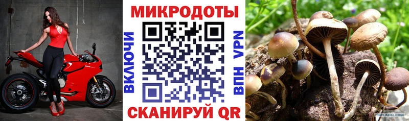 Галлюциногенные грибы ЛСД  наркота  Городец 